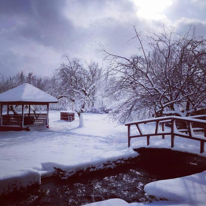 Horace Guesthouse Pool & Hot Tub & Bikes & River Dejani 외부 사진