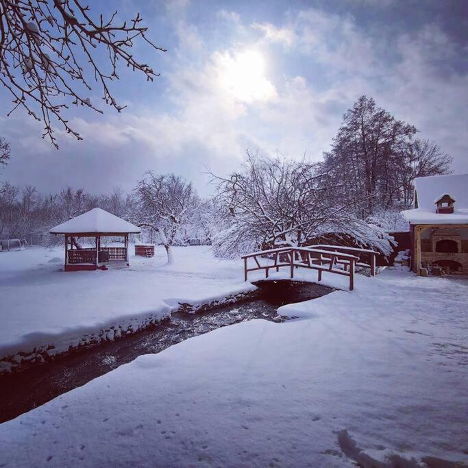 Horace Guesthouse Pool & Hot Tub & Bikes & River Dejani 외부 사진