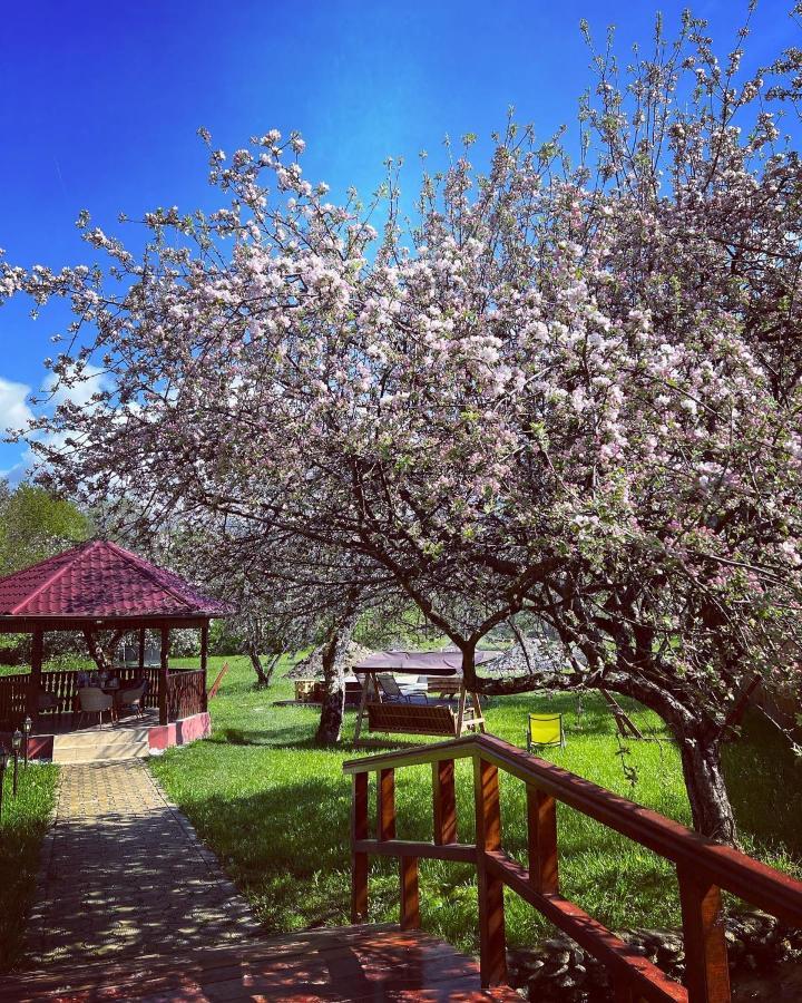 Horace Guesthouse Pool & Hot Tub & Bikes & River Dejani 외부 사진